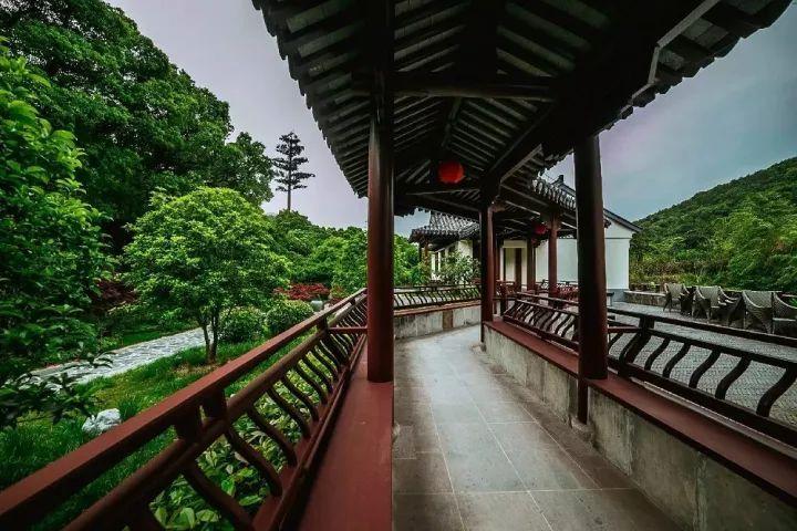 逗小猴开心系列202